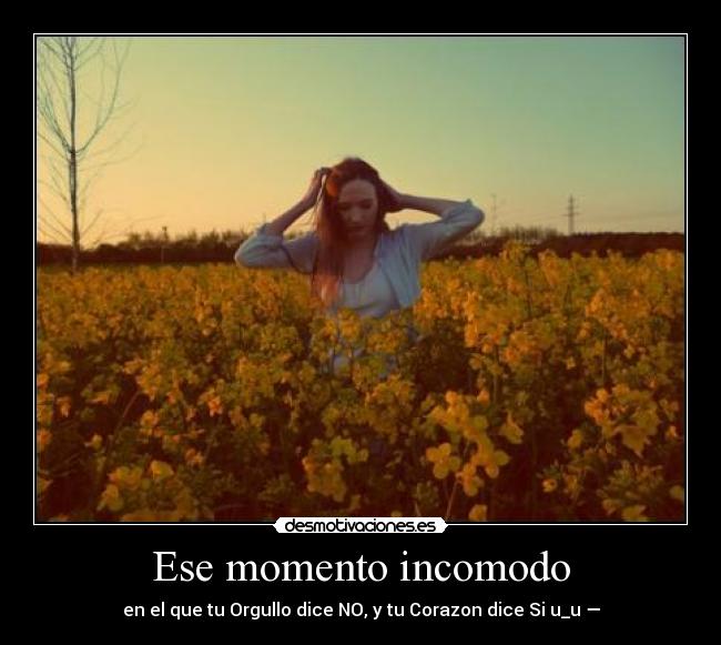 carteles okay desmotivaciones