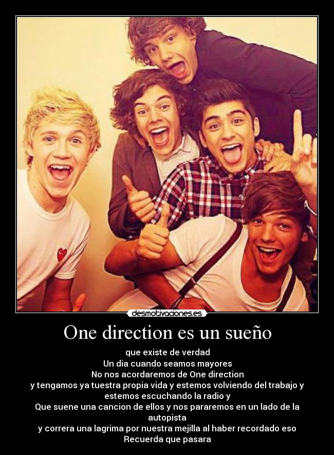One direction es un sueño -