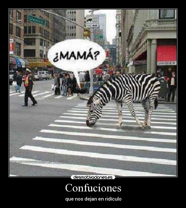 carteles confuciones desmotivaciones