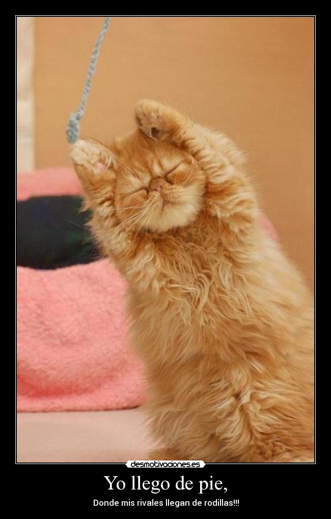 carteles desmotivaciones