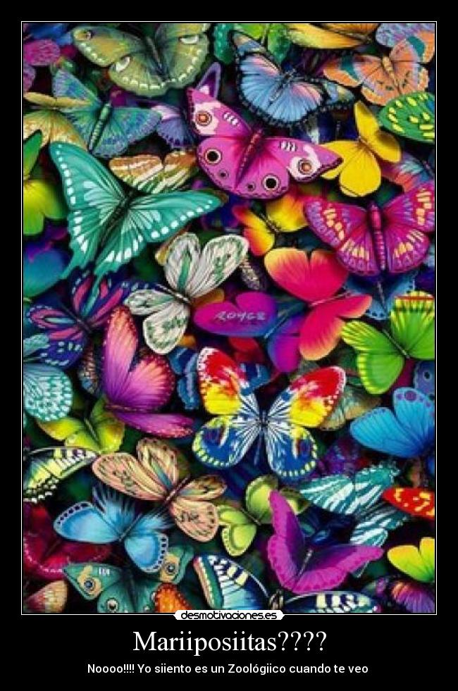 Mariiposiitas???? - Noooo!!!! Yo siiento es un Zoológiico cuando te veo ♥