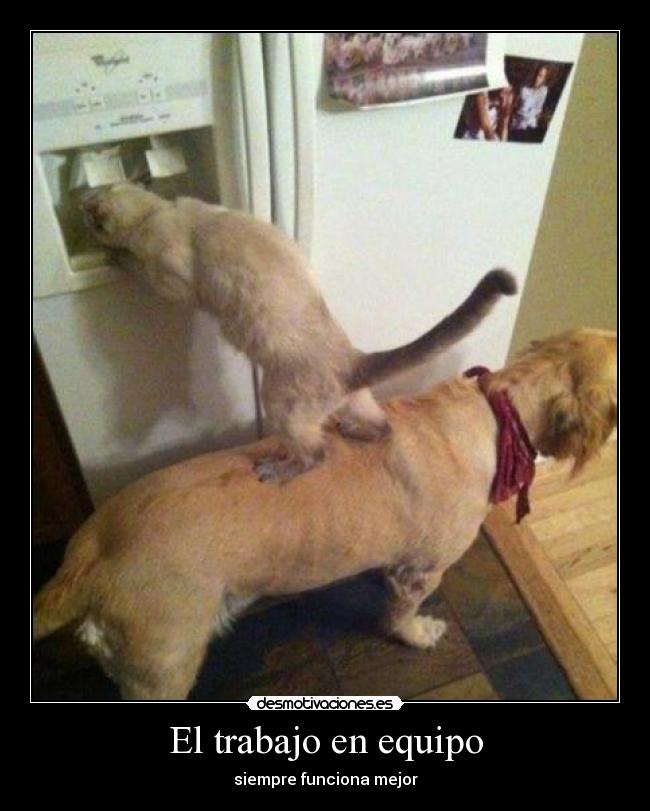 El trabajo en equipo -