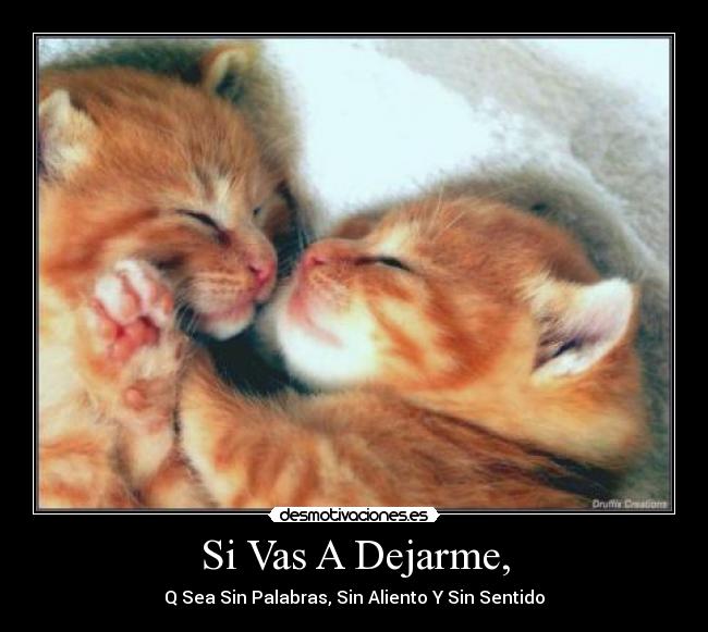 Si Vas A Dejarme, - Q Sea Sin Palabras, Sin Aliento Y Sin Sentido