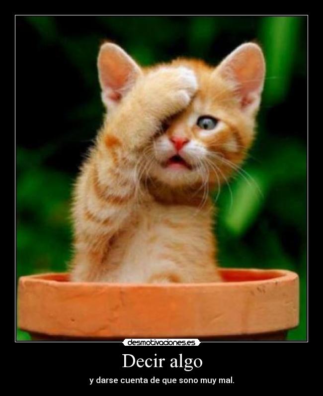 Decir algo -