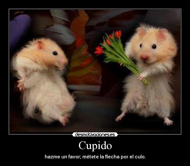 Cupido -
