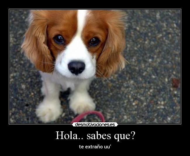 Hola.. sabes que? -
