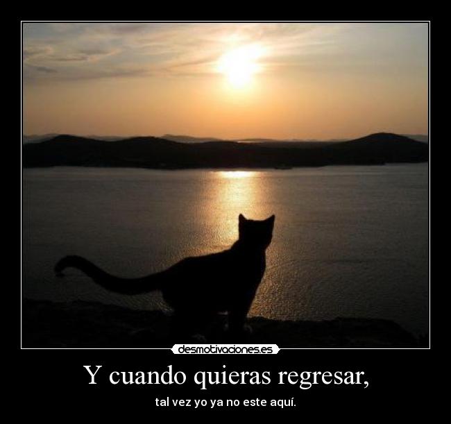 Y cuando quieras regresar, - tal vez yo ya no este aquí.