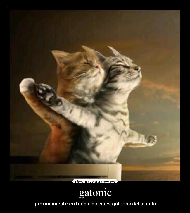 carteles facundo perez desmotivaciones