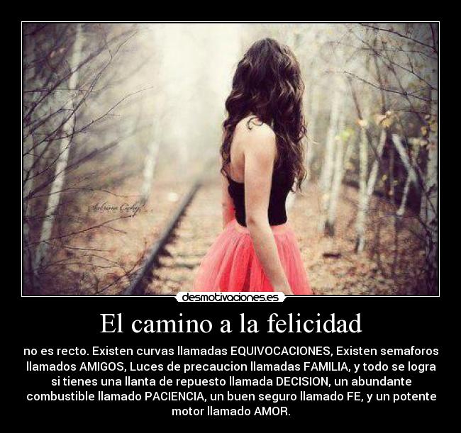 El camino a la felicidad - 