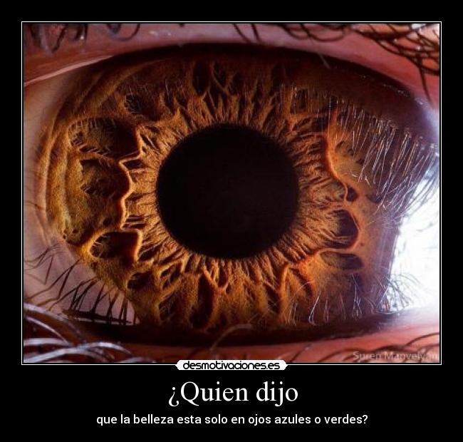¿Quien dijo - que la belleza esta solo en ojos azules o verdes?