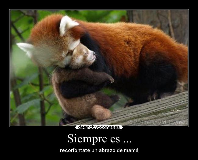 Siempre es ... - recorfontate un abrazo de mamá