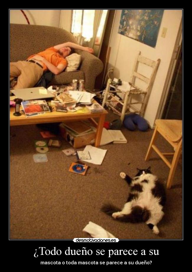 ¿Todo dueño se parece a su -