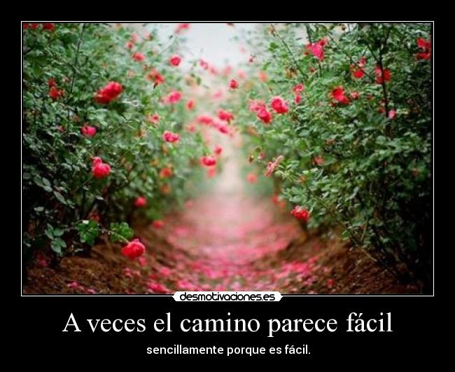 A veces el camino parece fácil - sencillamente porque es fácil.