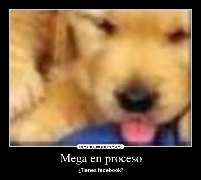 Mega en proceso - ¿Tienes facebook?