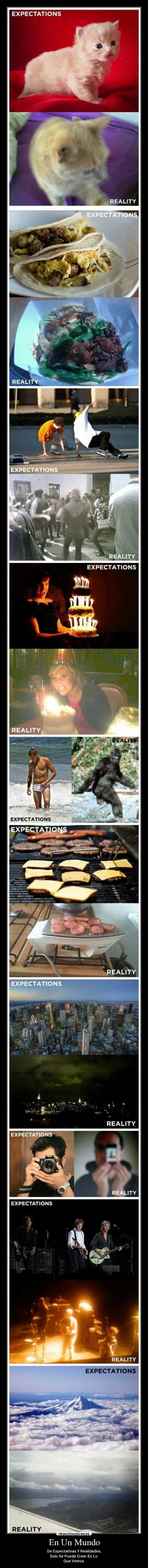 En Un Mundo - De Expectativas Y Realidades,
Solo Se Puede Creer En Lo
Que Vemos.