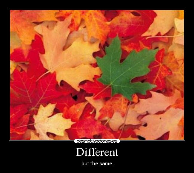 Different - 