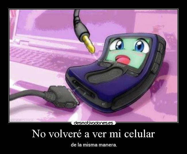 No volveré a ver mi celular -