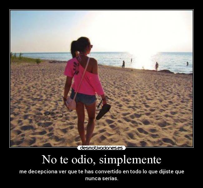 carteles odio francys zambrano desmotivaciones