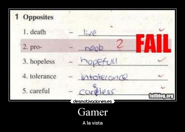 Gamer - 