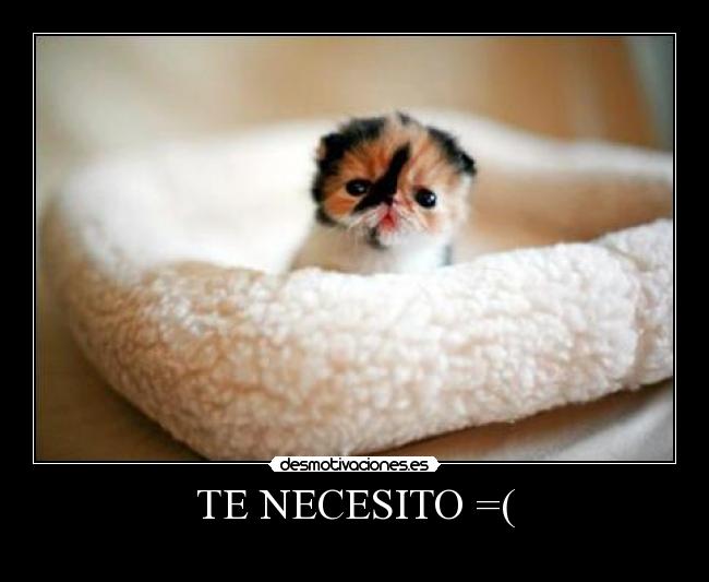 TE NECESITO =( -