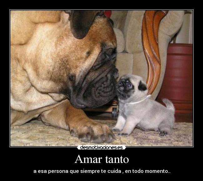 Amar tanto -
