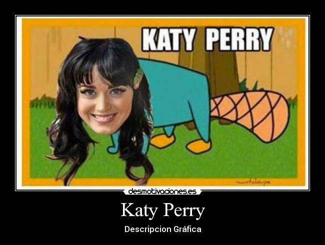 Katy Perry - Descripcion Gráfica