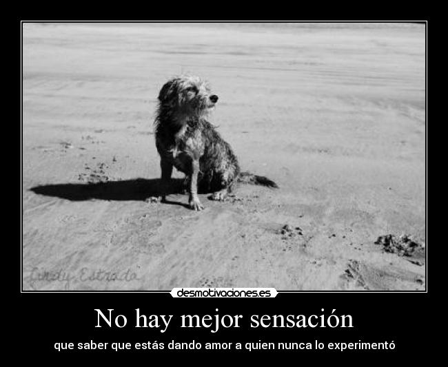 carteles desmotivaciones