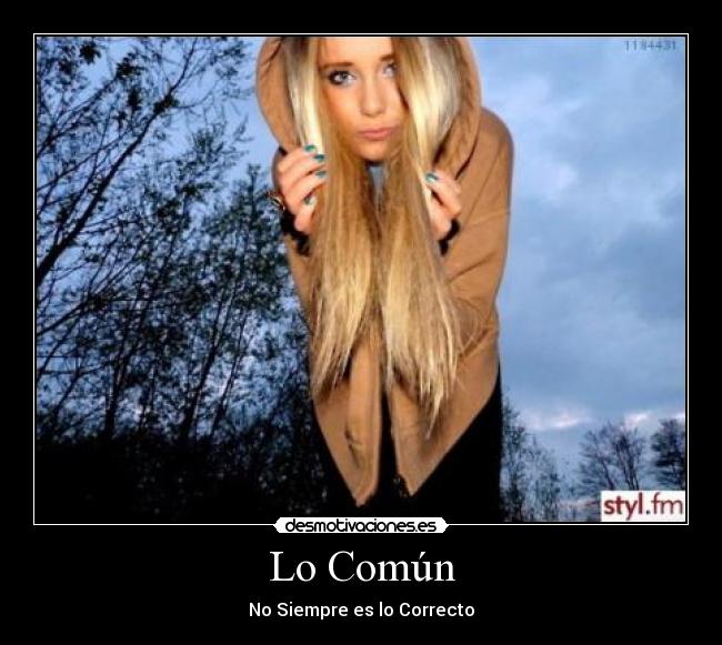 carteles sorry desmotivaciones