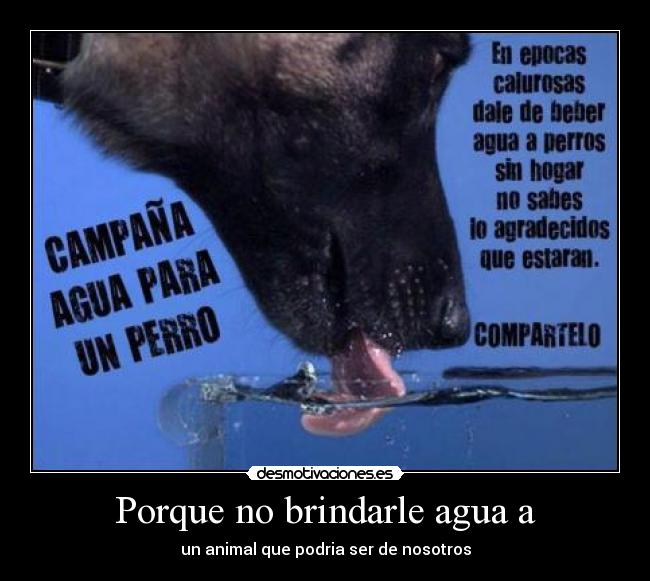 Porque no brindarle agua a - un animal que podria ser de nosotros