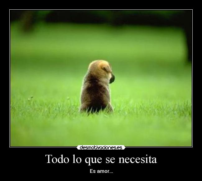 Todo lo que se necesita - Es amor...