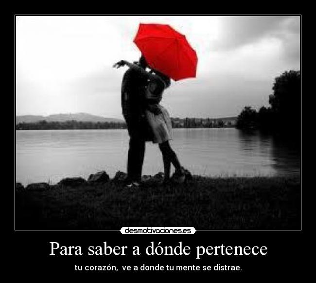 Para saber a dónde pertenece -