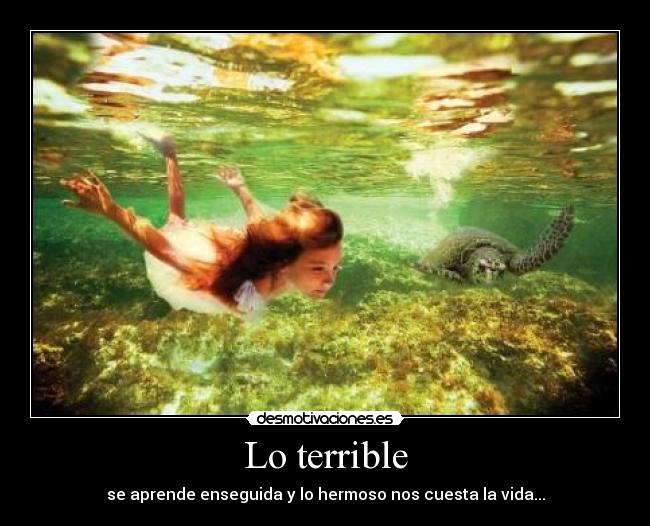 Lo terrible - se aprende enseguida y lo hermoso nos cuesta la vida...
