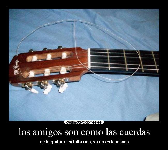 carteles amigos amigos desmotivaciones