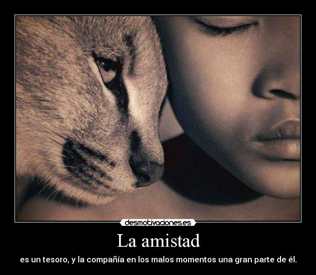 La amistad - es un tesoro, y la compañía en los malos momentos una gran parte de él.