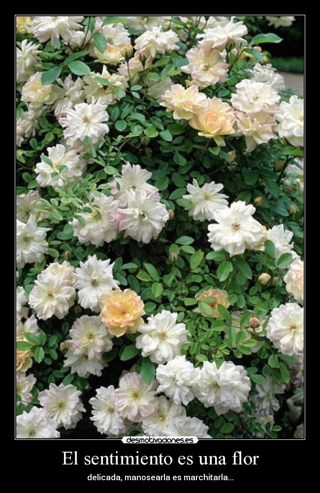 carteles 1mitch2hewer3think desmotivaciones