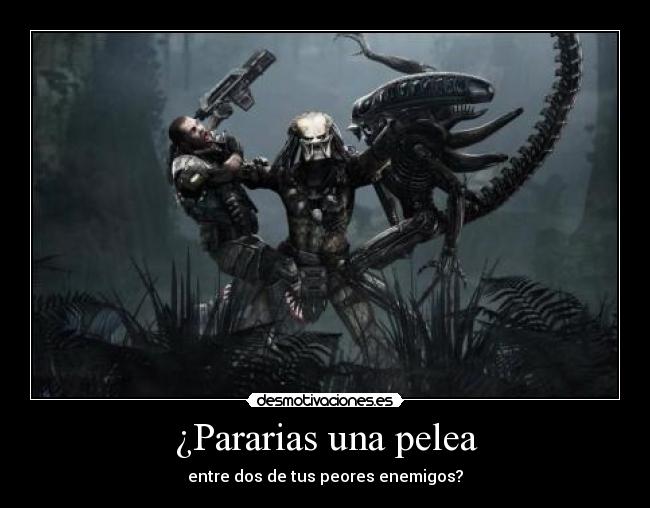 ¿Pararias una pelea - 