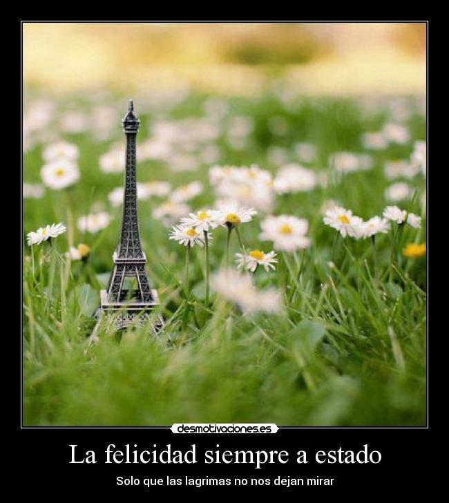 La felicidad siempre a estado - Solo que las lagrimas no nos dejan mirar
