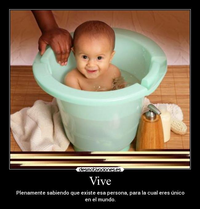 Vive - 