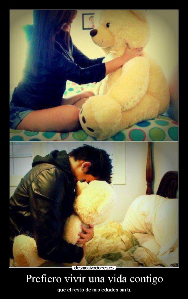 carteles vida amira desmotivaciones