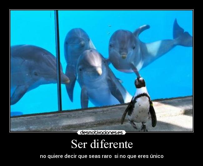 Ser diferente - no quiere decir que seas raro  si no que eres único