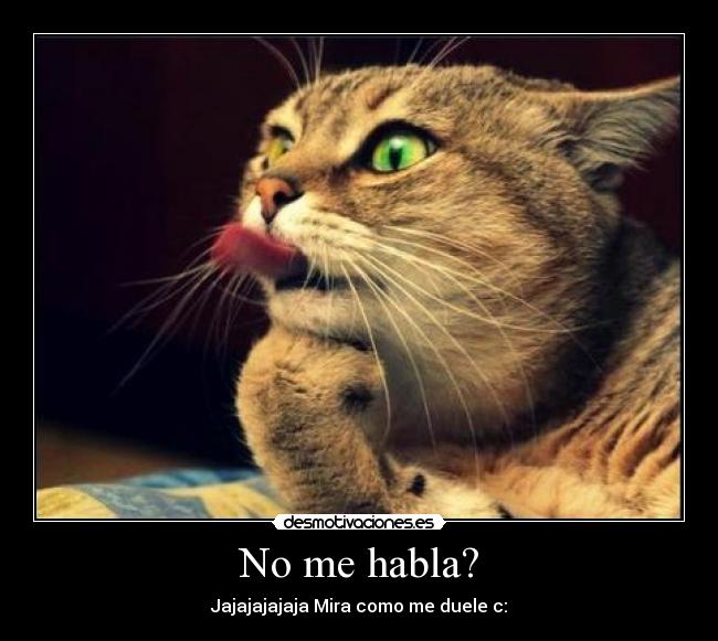 No me habla? - 