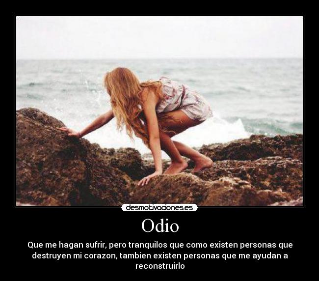 carteles odio verdad desmotivaciones