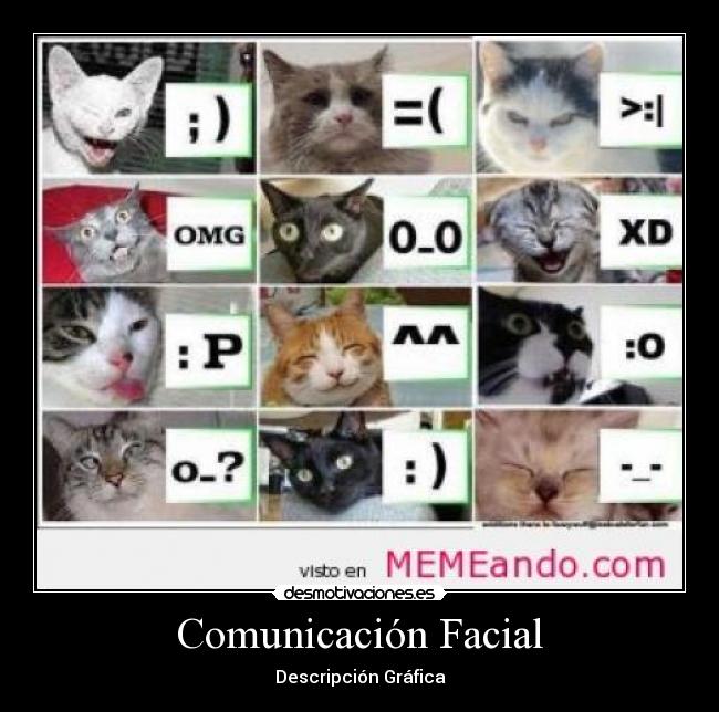 Comunicación Facial - Descripción Gráfica