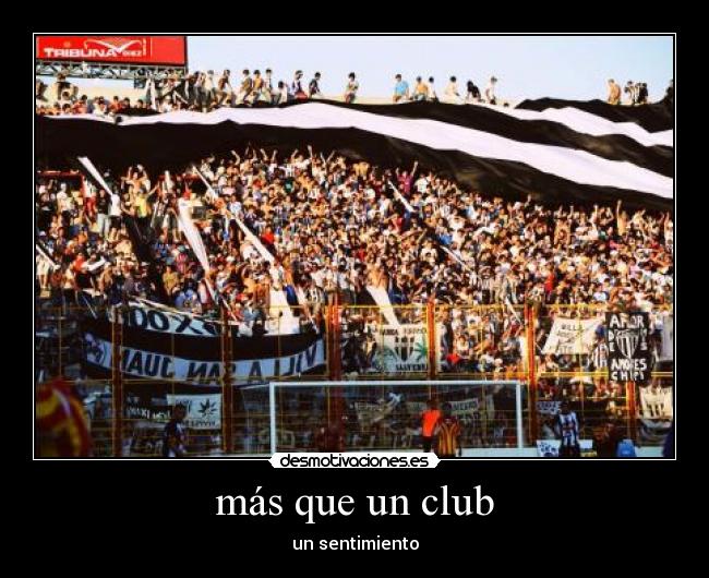 más que un club - un sentimiento