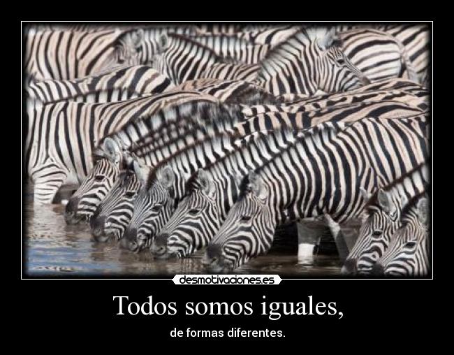 Todos somos iguales, - de formas diferentes.