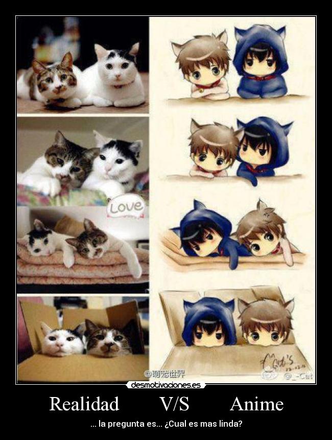 Realidad V/S Anime -