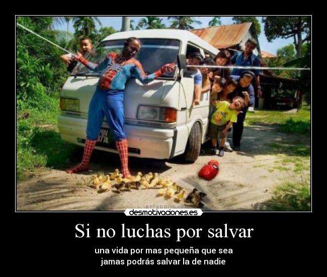Si no luchas por salvar - una vida por mas pequeña que sea
jamas podrás salvar la de nadie