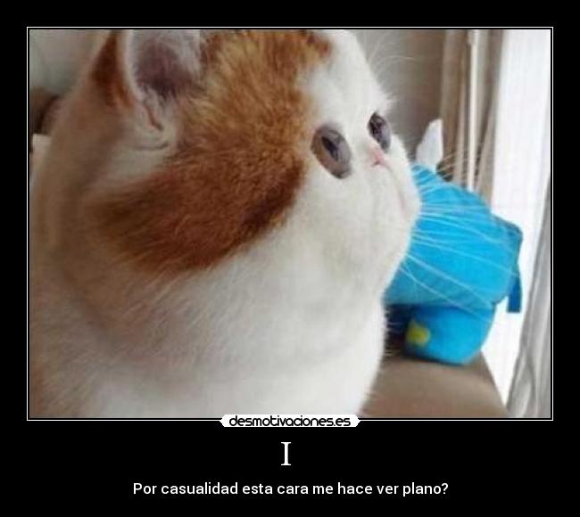 I - Por casualidad esta cara me hace ver plano?