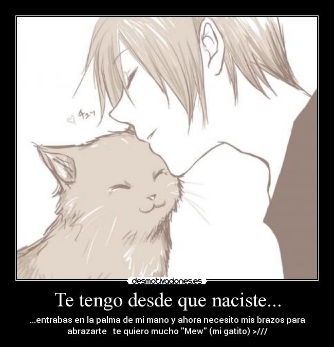carteles tonomon tomoyo munoz facebook desmotivaciones