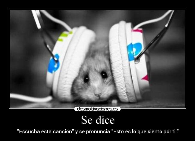 Se dice -